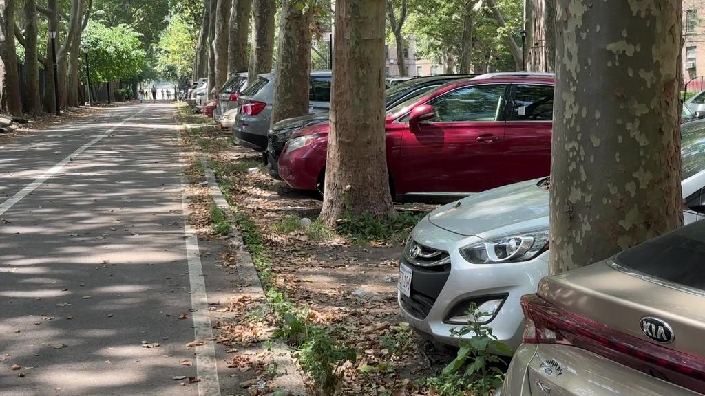 Queensbridge greenway remains packed with illegally parked cars. CBS New York tries to find who is responsible for protecting the land