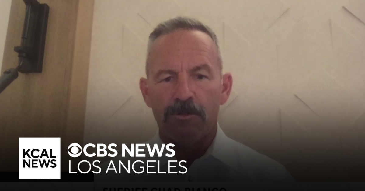 Riverside County Sheriff Chad Bianco reacts to shooting at Donald Trump ...