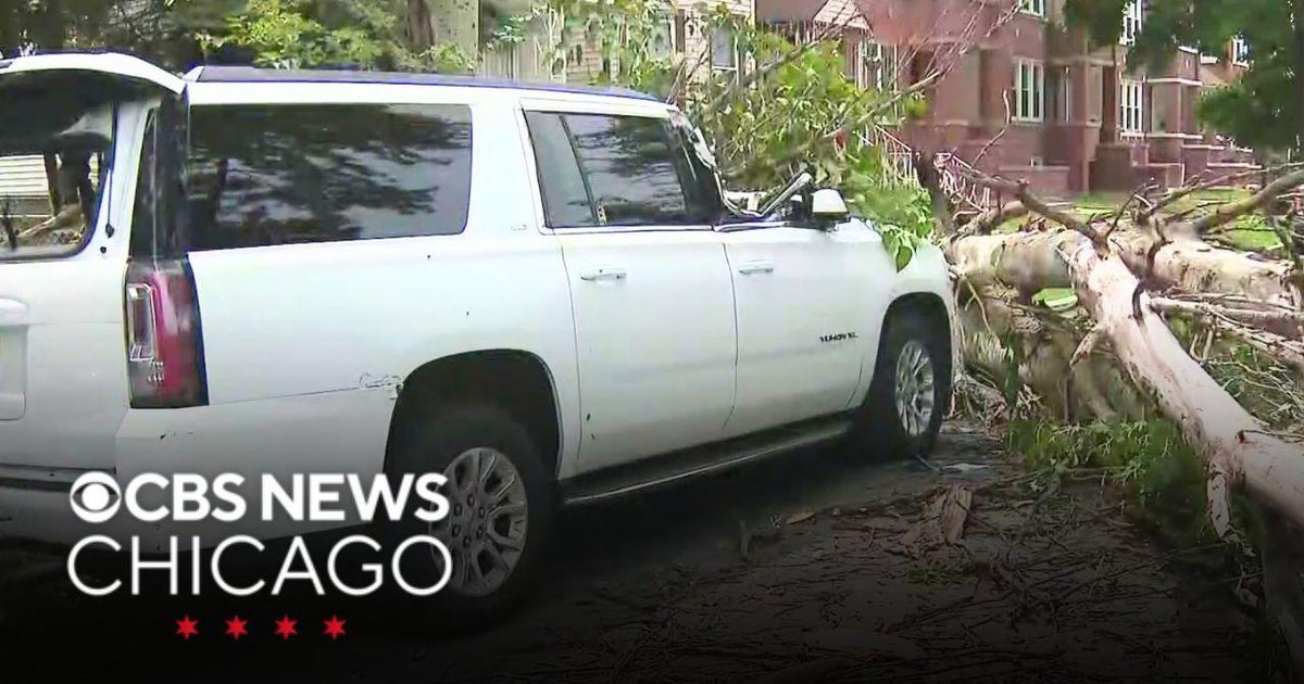 Cleanup continues after severe storms sweep through the city - CBS Chicago
