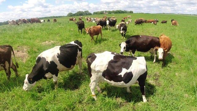 10p-pkg-regen-farming-p-wcco5rxb.jpg