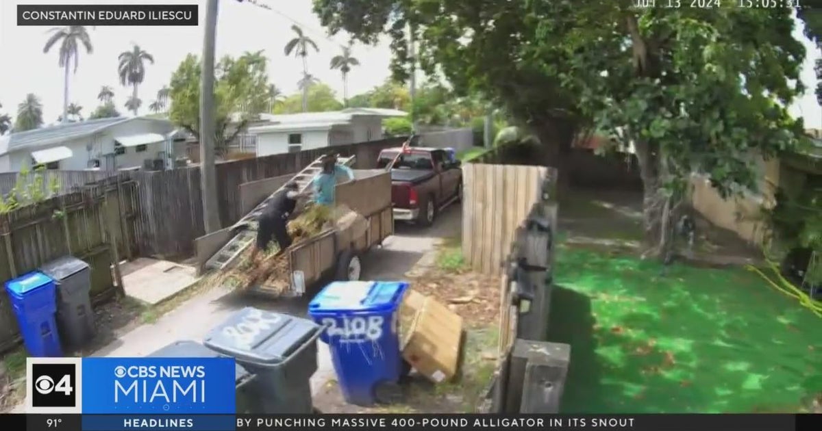 Lawn crew caught on video dumping debris from truck trailer in ...