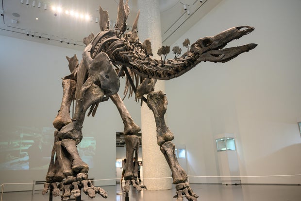 Sotheby's Geek Week Sales