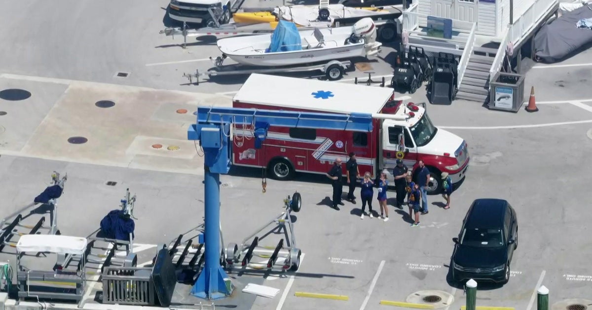 Child treated for superficial shark bite in Key Biscayne Child treated for superficial shark bite in Key Biscayne