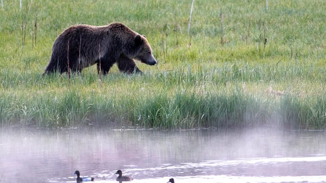 General News Bucket Event - 2024 