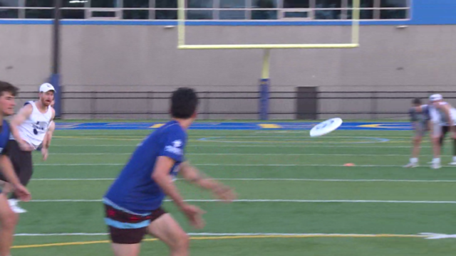 chicago-union-frisbee-1.png 