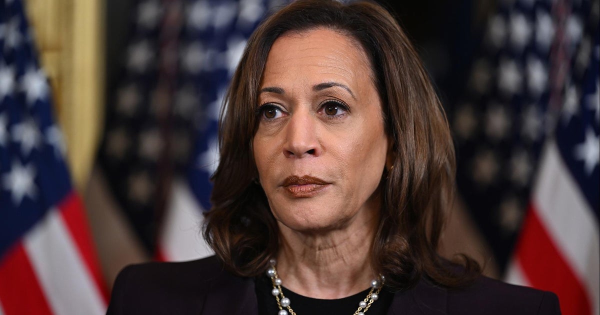 How does the vice presidential vetting process work?