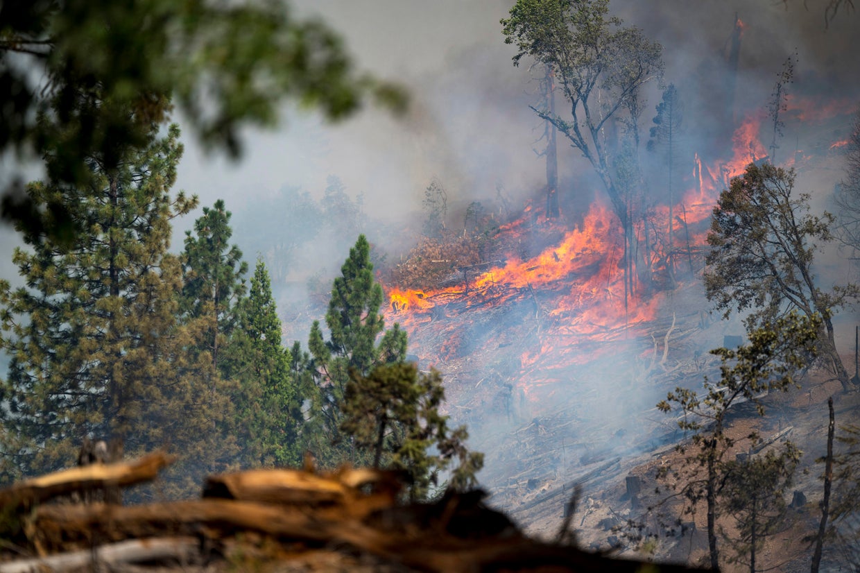 Thousands of firefighters battling California's Park Fire, other ...