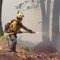 Wildfire smoke linked to heightened risk of dementia diagnosis, new California research finds