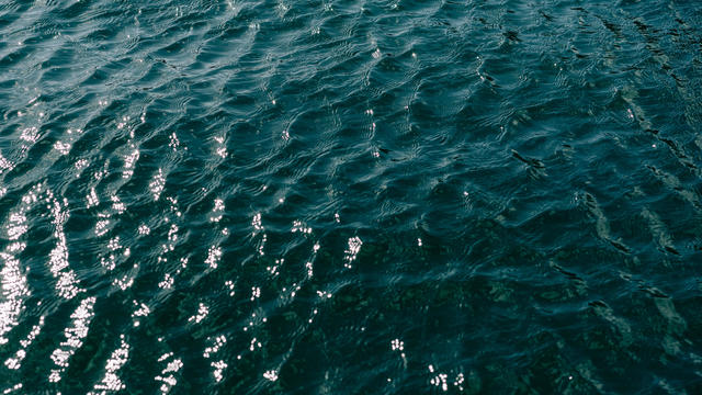 Blue lake water with waves background 