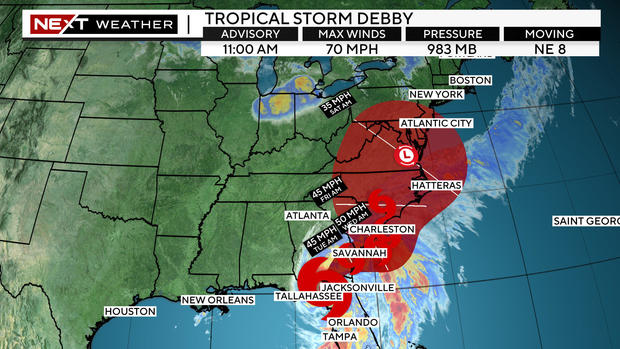 debby-path.jpg 