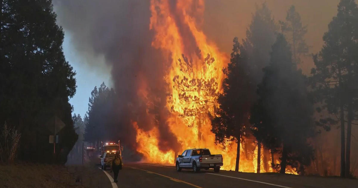 Western US Wildfires Devastate Large Areas