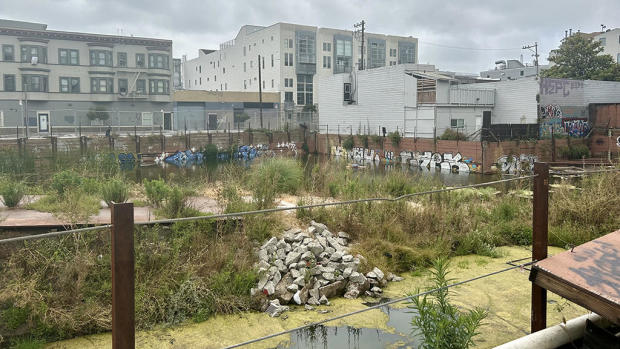 Vacant Lot in S.F. 