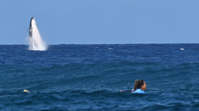 TOPSHOT-SURFING-OLY-PARIS-2024 