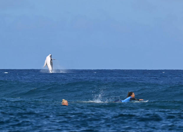 TOPSHOT-SURFING-OLY-PARIS-2024-BEST OF-DAY10 