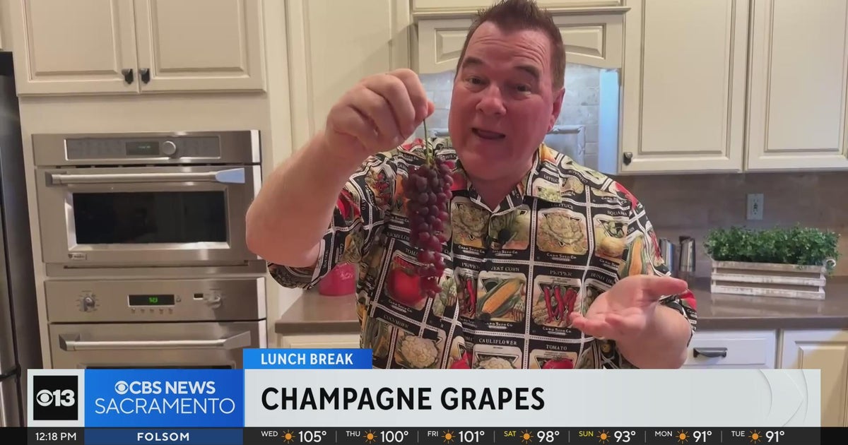 Champagne grapes | Lunch Break