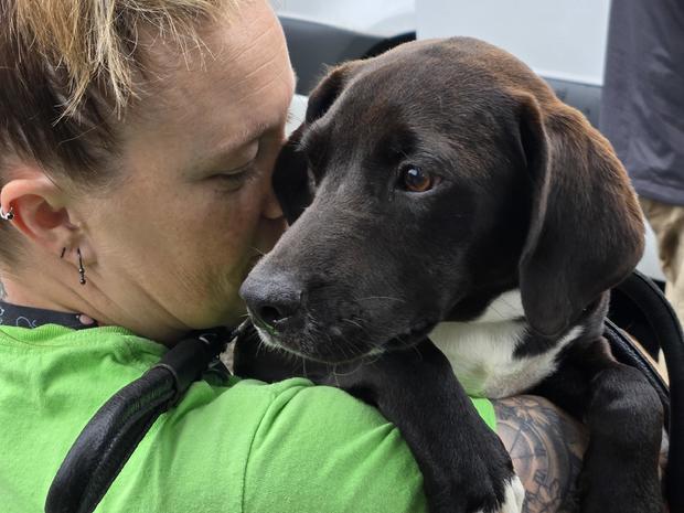 one-of-the-dogs-gets-a-pep-talk-from-a-charleston-animal-society-staffer.jpg 