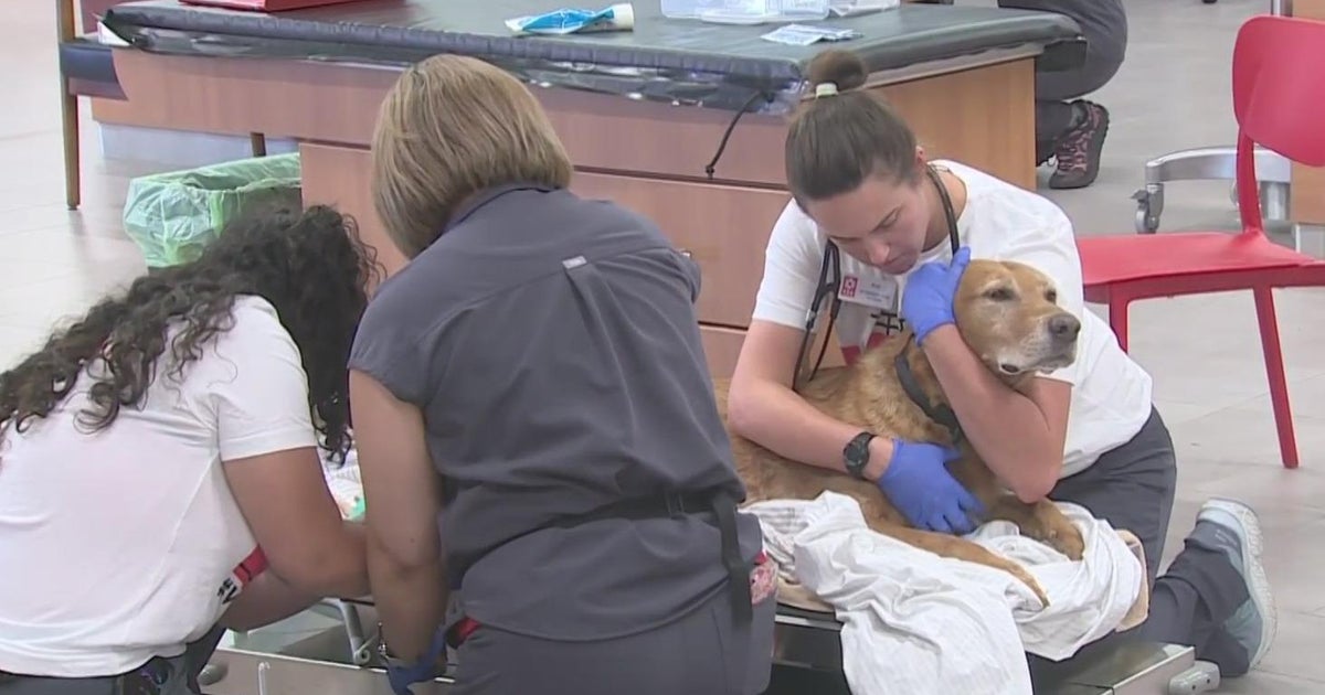 Emergency veterinary clinic opens in Elk Grove despite nationwide shortage of veterinarians