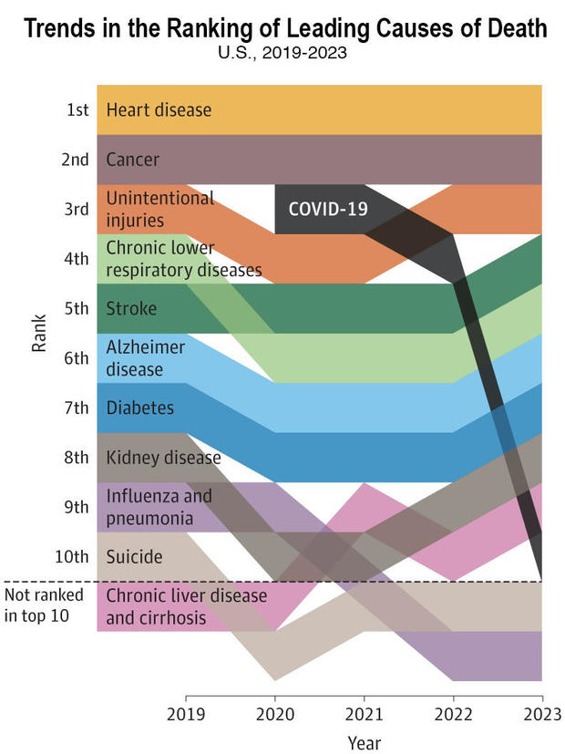 causes-of-death-2023.jpg 