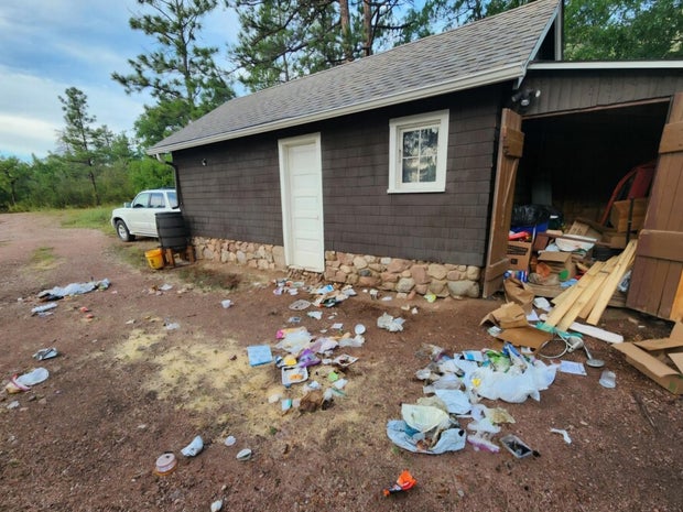 colorado-springs-bear-damage-pic4-cpw-se-region-tweet.jpg 