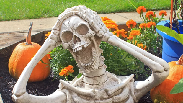 The best Halloween decorations at Wayfair this year