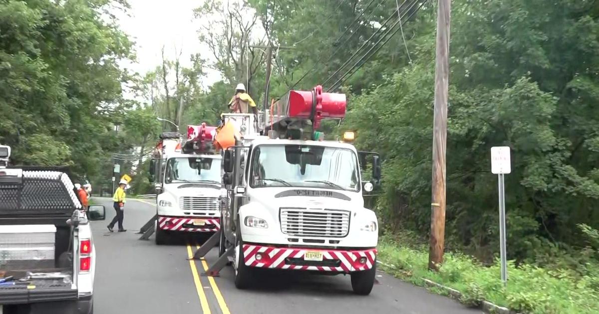 NYC Grapples with Debby’s Aftermath: Massive Tree Damage and Power Outages