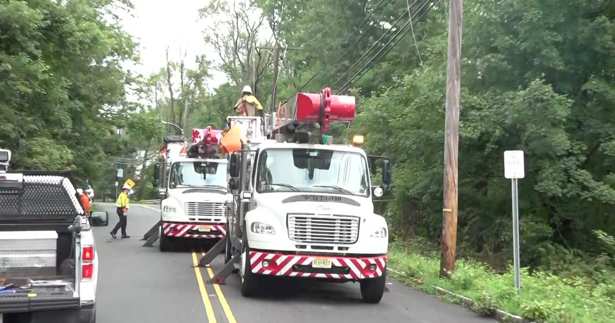 NYC Grapples with Debby’s Aftermath: Massive Tree Damage and Power Outages