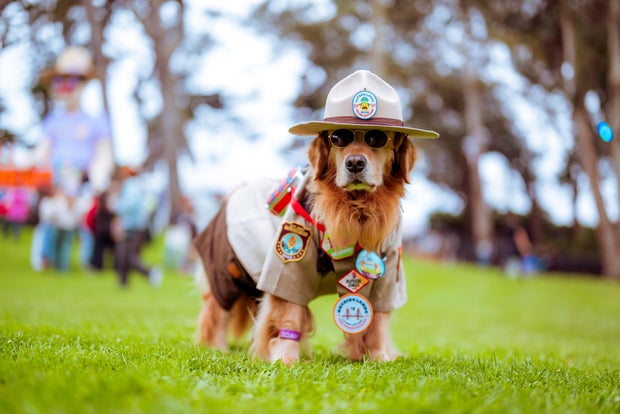 Outside Lands 2024 - Day 1