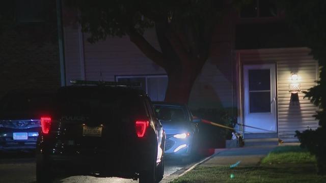 Woodridge Murder-Suicide 