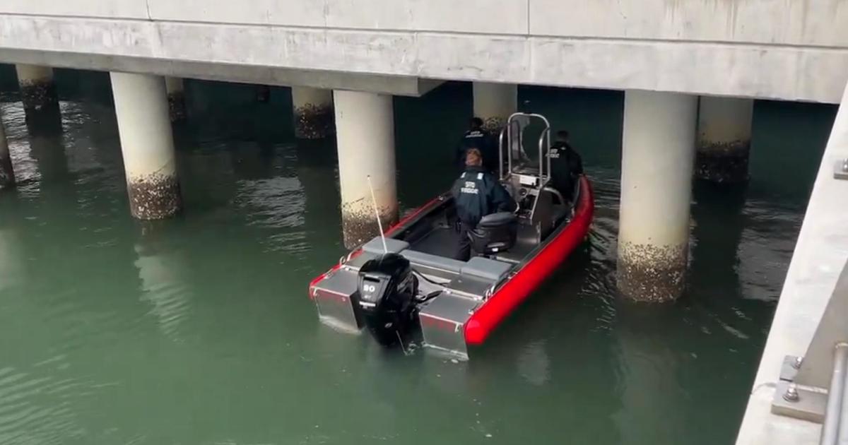 San Francisco fire crews rescue person who fell into water from ferry docks