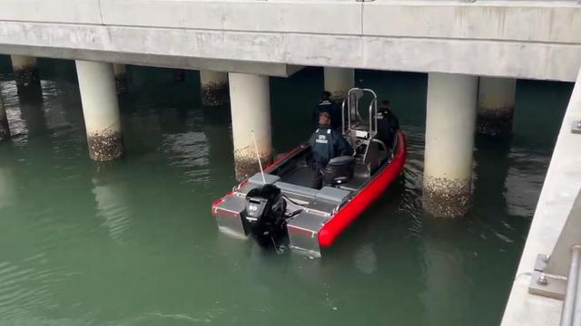 San Francisco Ferry Dock Rescue 