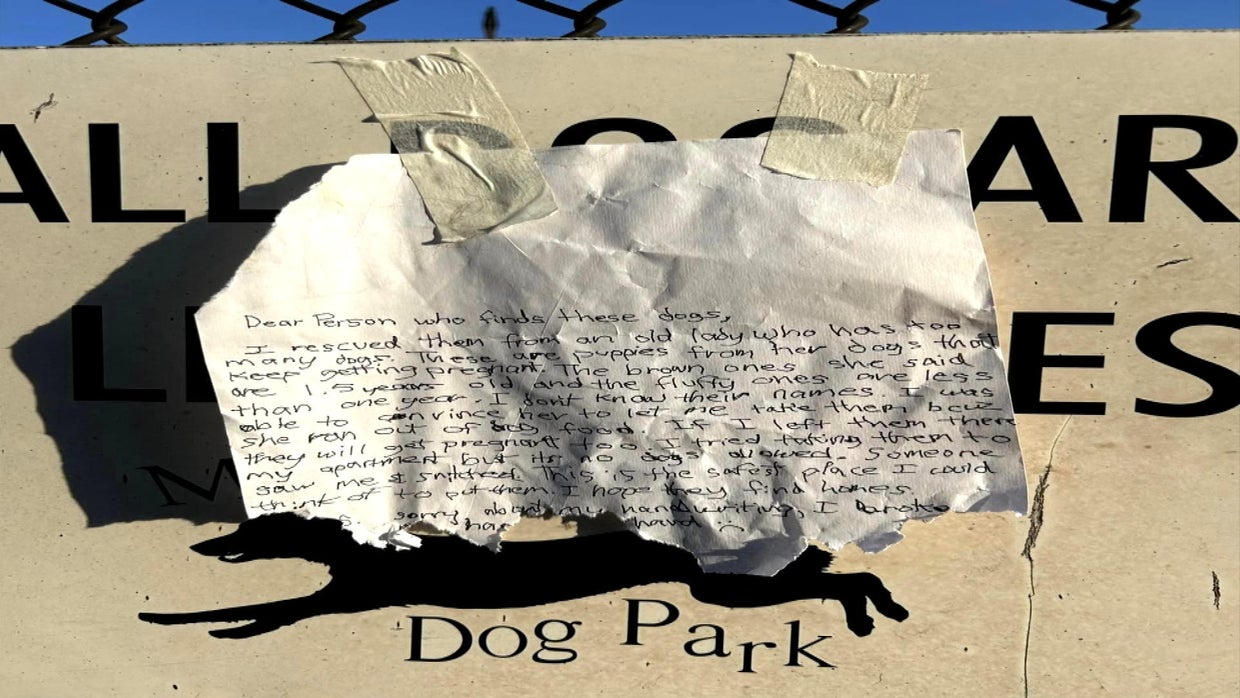 Six dogs abandoned at Bucks County dog park, Morrisville Borough Police ...