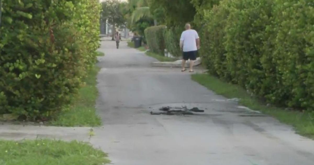 Burning body found in Hollywood alleyway