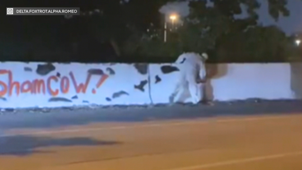 Artist behind ShamCow tagging a road barrier in Philadelphia 