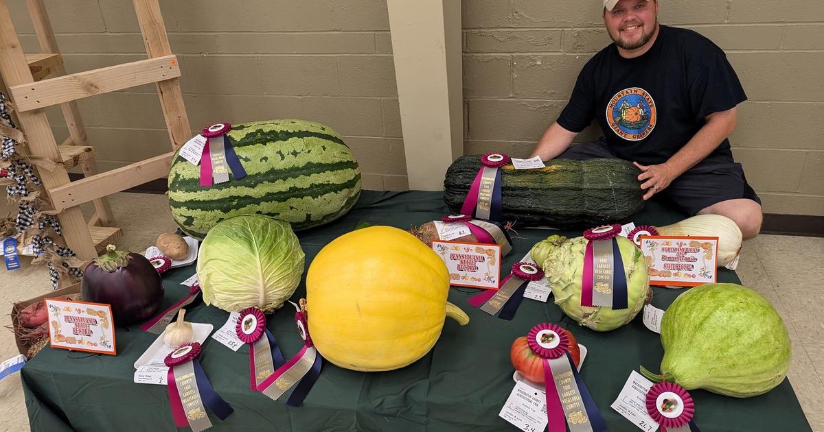 Cokeburg gardener scores big success at Washington County Fair with giant vegetables