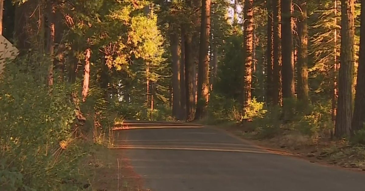Good Samaritan helps save man attacked by bear in Tuolumne County