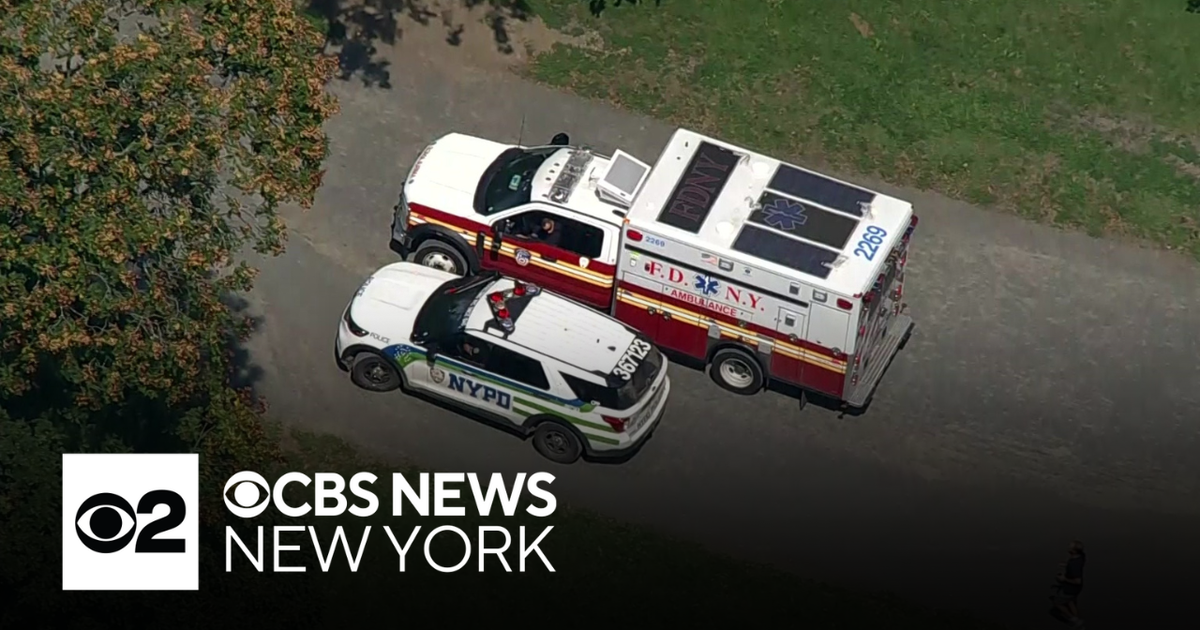 82-year-old woman assaulted in latest Central Park attack, police say ...