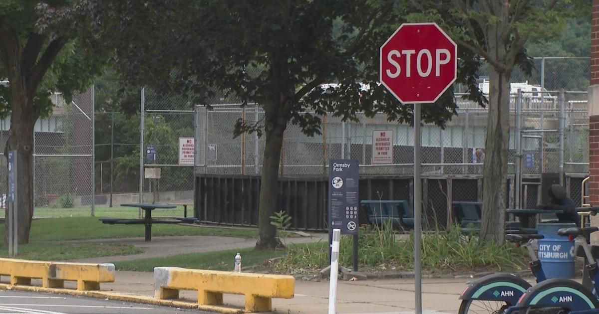 South Side neighbors say drivers ignore a stop sign in front of a playground