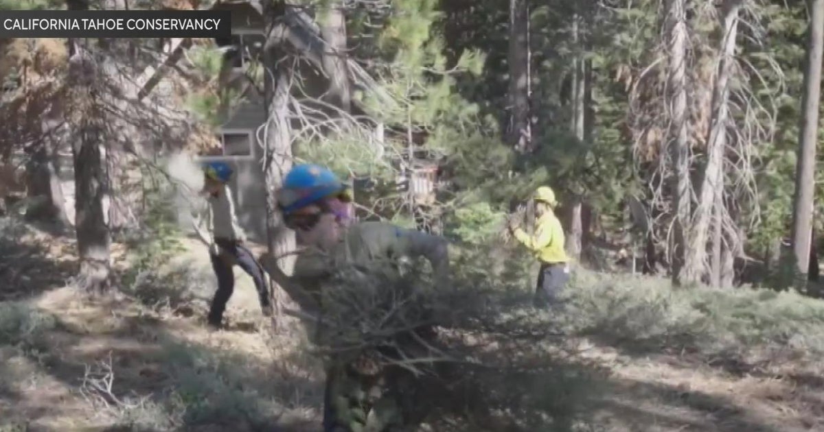 This tool allows you to track prescribed fires in the Tahoe basin