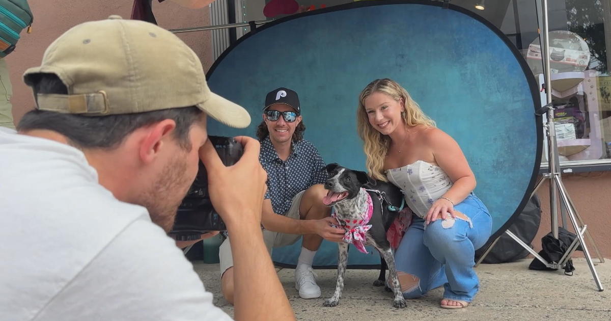 Puppies take over Philadelphia’s Main Street for the Dog Day of Summer Festival