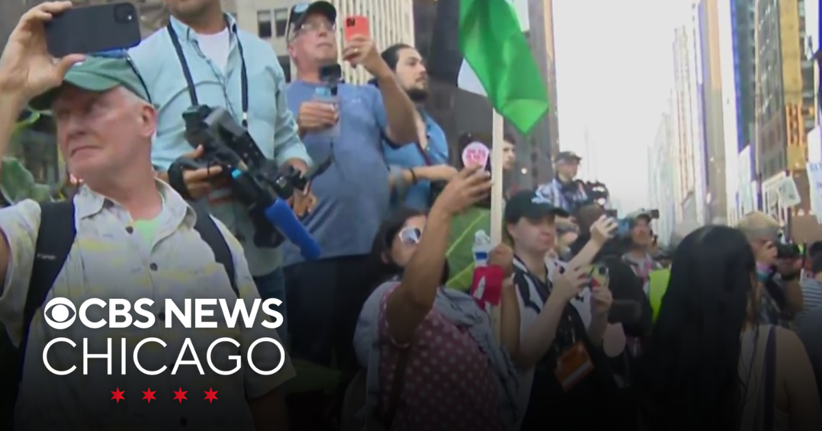 Protest grows downtown a night before DNC in Chicago - CBS Chicago