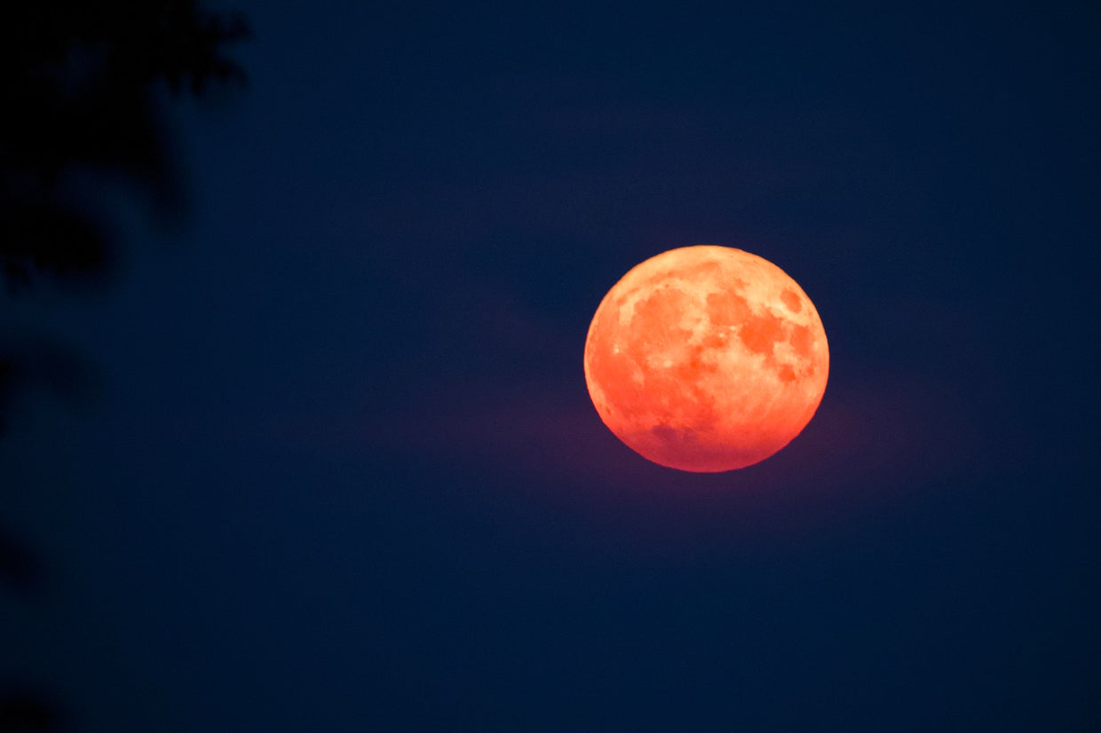 Photos of the blue supermoon show August's rare lunar phenomenon light ...