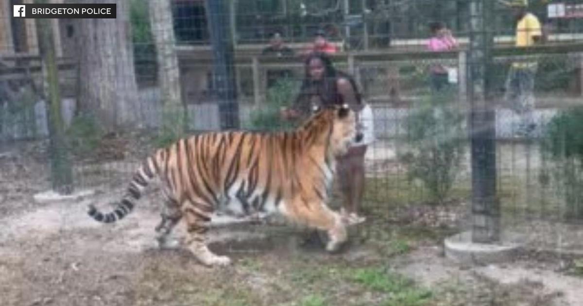 Woman who jumped fence near tiger enclosure at New Jersey zoo charged with trespassing