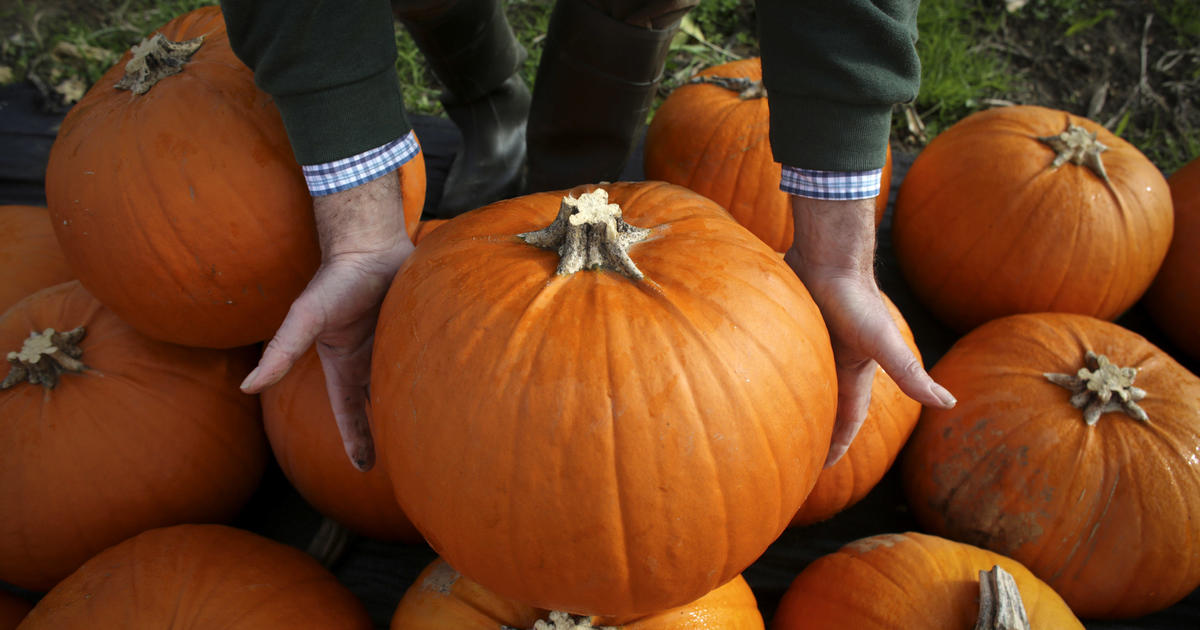 Pumpkin spice season kicks off earlier each year. Here's a look at the