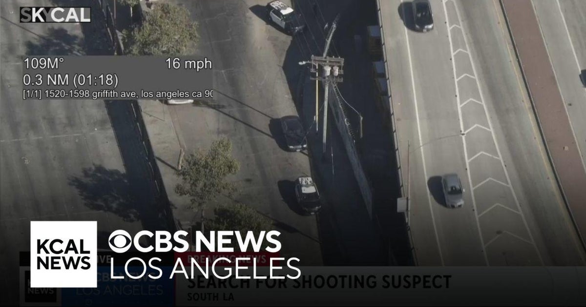 Police search for South LA shooting suspect on bike - CBS Los Angeles