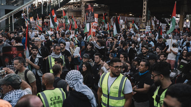 Protesters Demonstrate During The 2024 Democratic National Convention In Chicago 