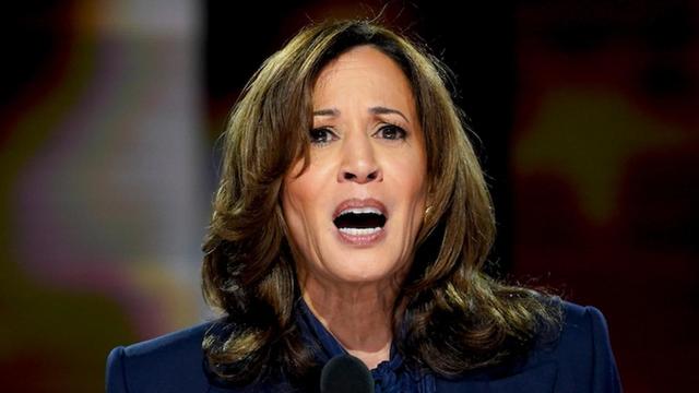 cbsn-fusion-kamala-harris-dnc-speech-addressed-the-israel-hamas-war-what-to-know-2024-thumbnail.jpg 