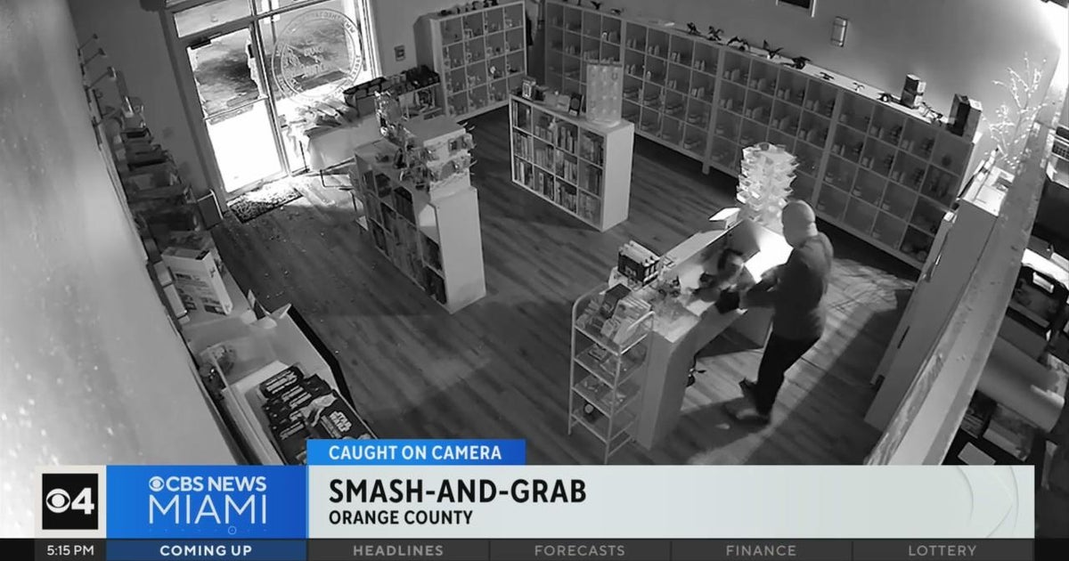 Caught on camera: Crook uses brick to smash window of Orange County ...