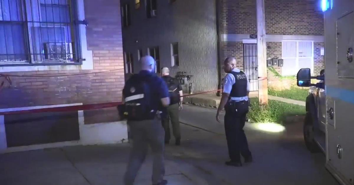 Police find man shot dead in south Chicago