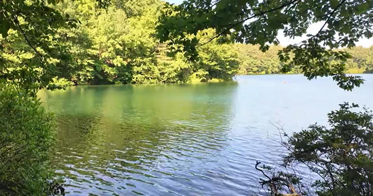 Saving Walden Pond: How a treasured landmark is under threat