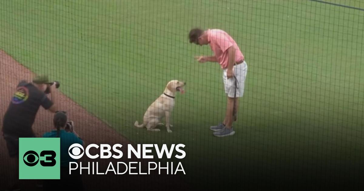 Lucy May's Memorable Bat Dog Debut